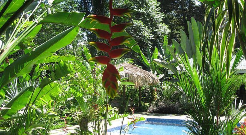 Vip Hotel Playa Negra Puerto Viejo de Talamanca 외부 사진