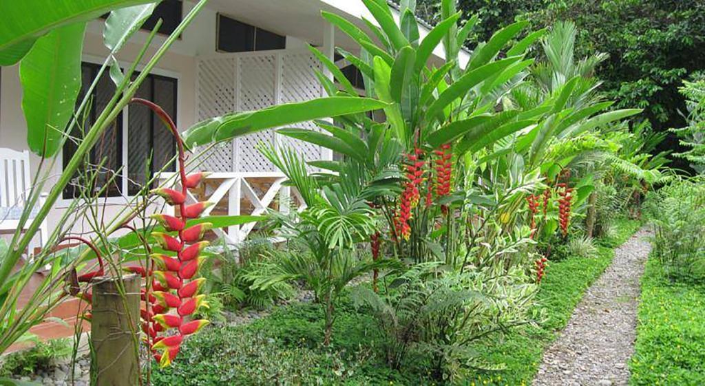 Vip Hotel Playa Negra Puerto Viejo de Talamanca 외부 사진