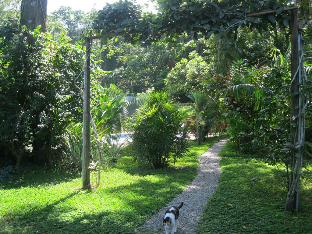 Vip Hotel Playa Negra Puerto Viejo de Talamanca 외부 사진