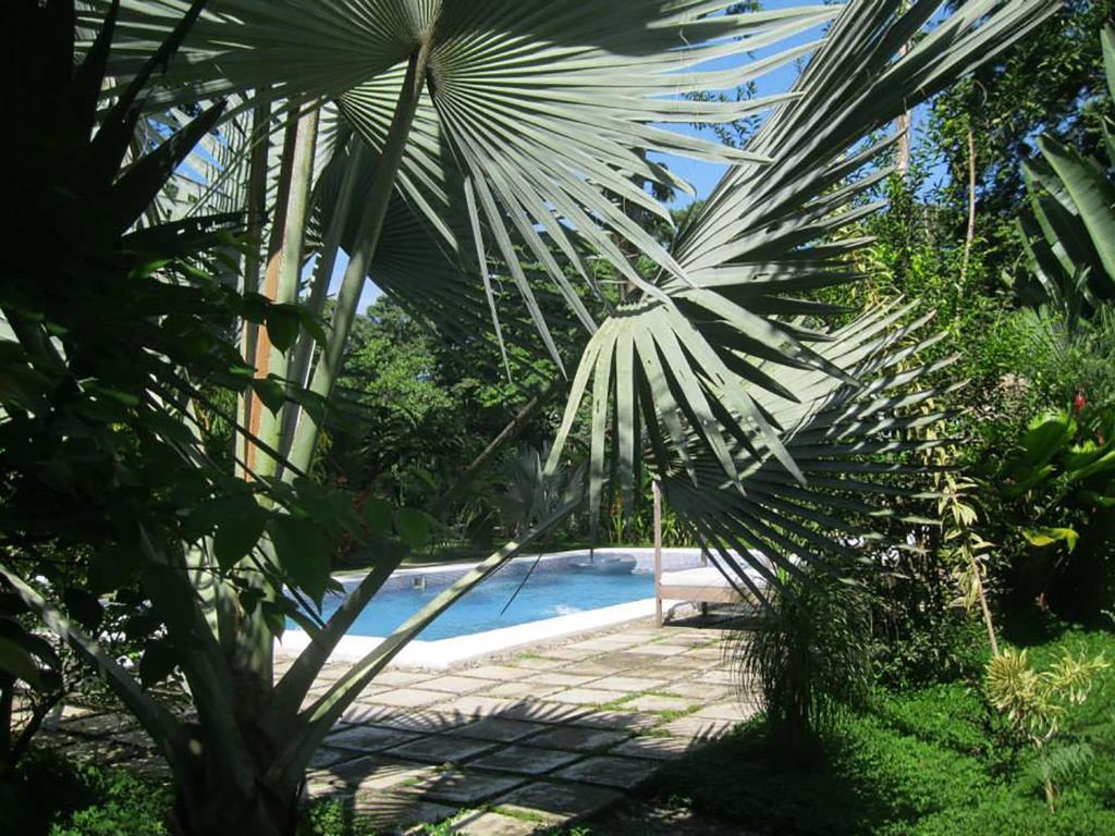 Vip Hotel Playa Negra Puerto Viejo de Talamanca 외부 사진