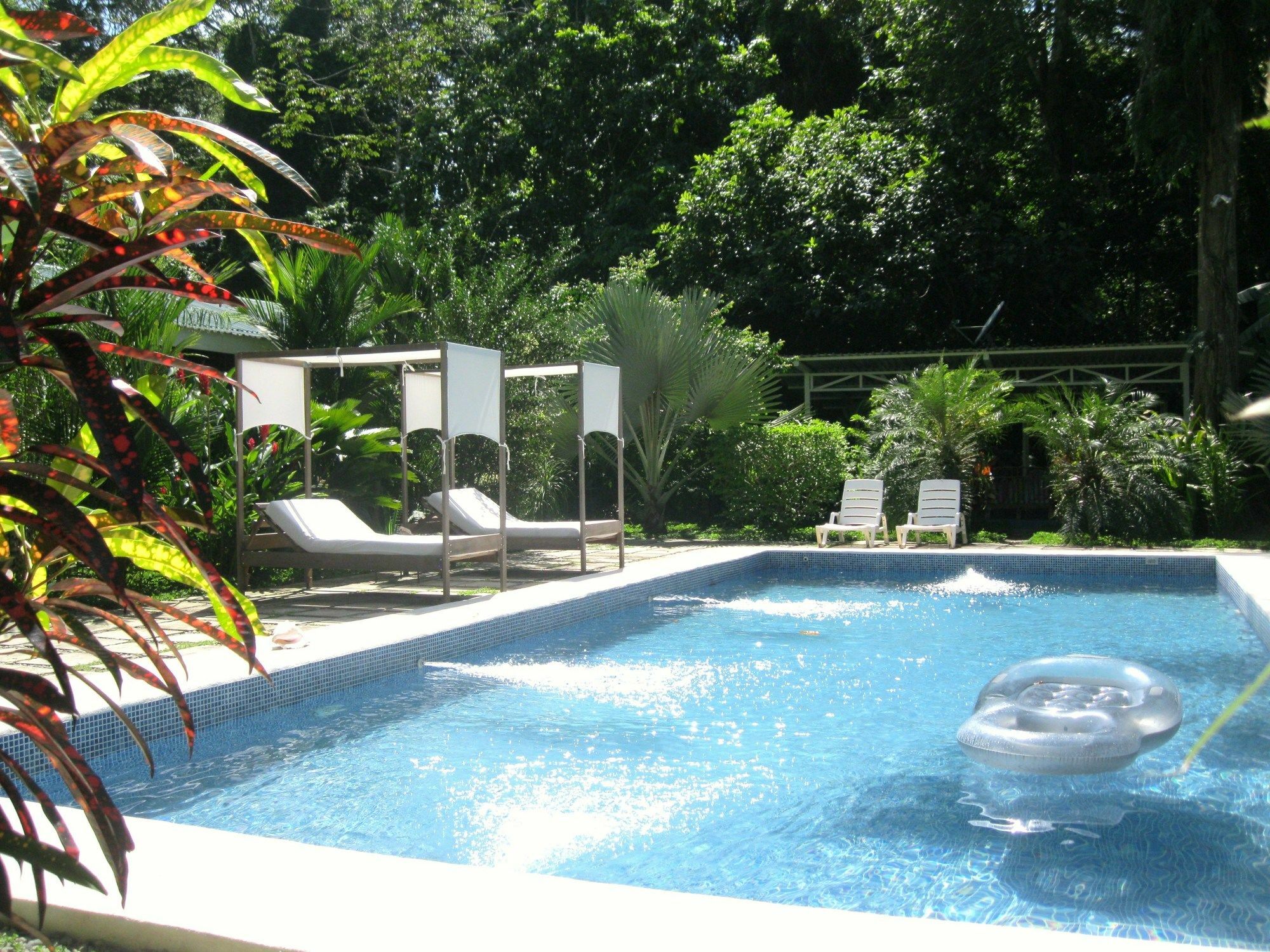 Vip Hotel Playa Negra Puerto Viejo de Talamanca 외부 사진