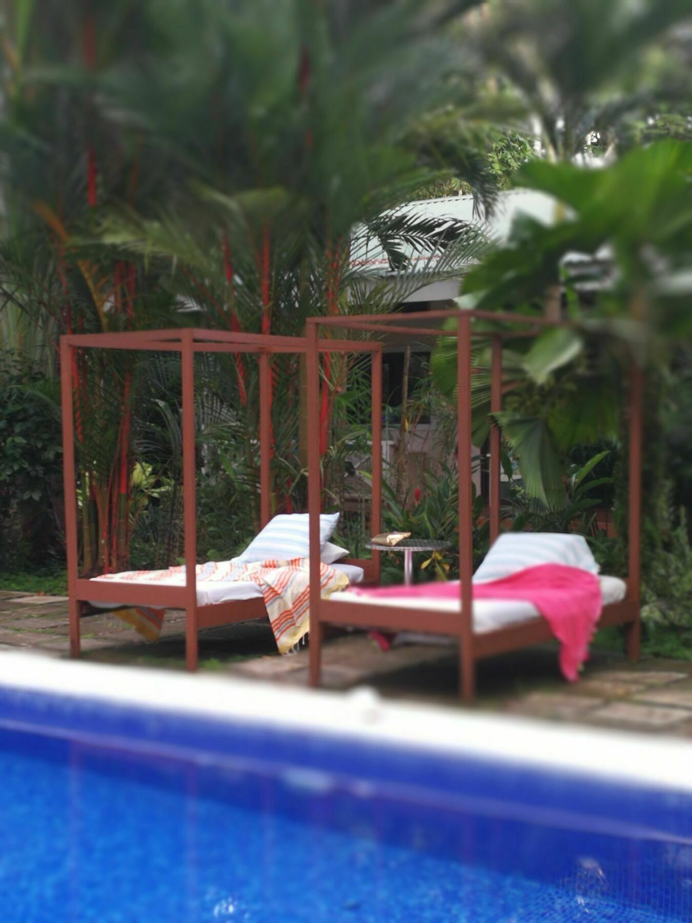 Vip Hotel Playa Negra Puerto Viejo de Talamanca 외부 사진